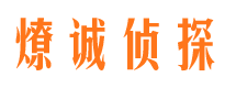 墨江市私人调查